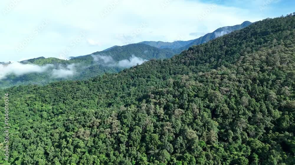 Aerial drone shot over primary Jungle tropical rain forest in Nan, Thailand. Aerial view, moving over a rainforest tree canopy in a slow pace beautiful green nature background of a tropical forest. Aerial drone shot over primary Jungle tropical rain forest in Nan, Thailand. Aerial view, moving over a rainforest tree canopy in a slow pace beautiful green nature background of a tropical forest.