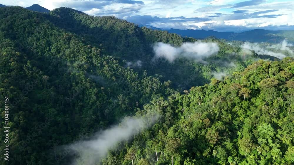 Aerial drone shot over primary Jungle tropical rain forest in Nan, Thailand. Aerial view, moving over a rainforest tree canopy in a slow pace beautiful green nature background of a tropical forest.