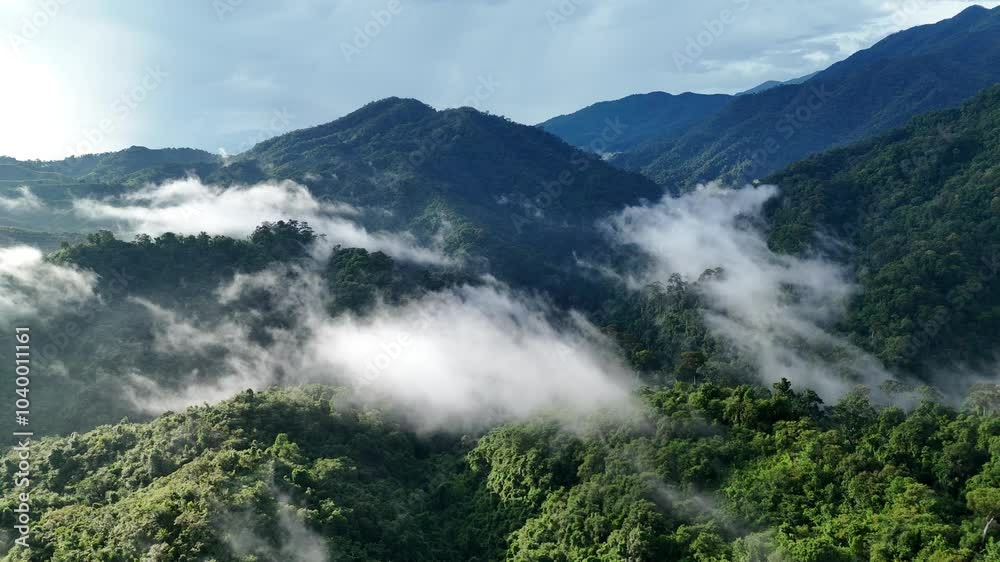 Aerial drone shot over primary Jungle tropical rain forest in Nan, Thailand. Aerial view, moving over a rainforest tree canopy in a slow pace beautiful green nature background of a tropical forest. Aerial drone shot over primary Jungle tropical rain forest in Nan, Thailand. Aerial view, moving over a rainforest tree canopy in a slow pace beautiful green nature background of a tropical forest.