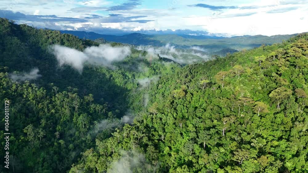 Aerial drone shot over primary Jungle tropical rain forest in Nan, Thailand. Aerial view, moving over a rainforest tree canopy in a slow pace beautiful green nature background of a tropical forest. Aerial drone shot over primary Jungle tropical rain forest in Nan, Thailand. Aerial view, moving over a rainforest tree canopy in a slow pace beautiful green nature background of a tropical forest.