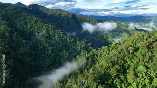 Aerial drone shot over primary Jungle tropical rain forest in Nan, Thailand. Aerial view, moving over a rainforest tree canopy in a slow pace beautiful green nature background of a tropical forest.
