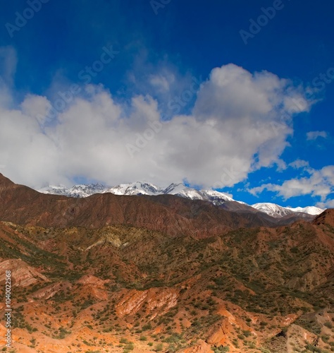 Snow capped Andes mountains near Potrerillos, Argentina.