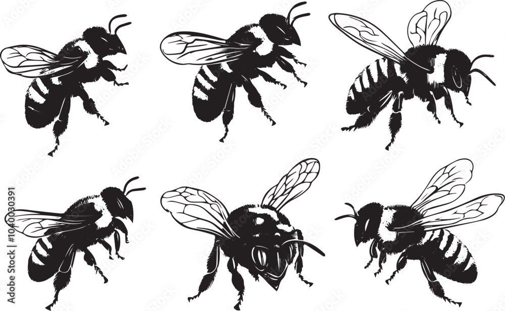 Fototapeta premium A set of bees. Hand drawn vector illustration