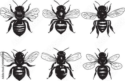 A set of bees. Hand drawn vector illustration	