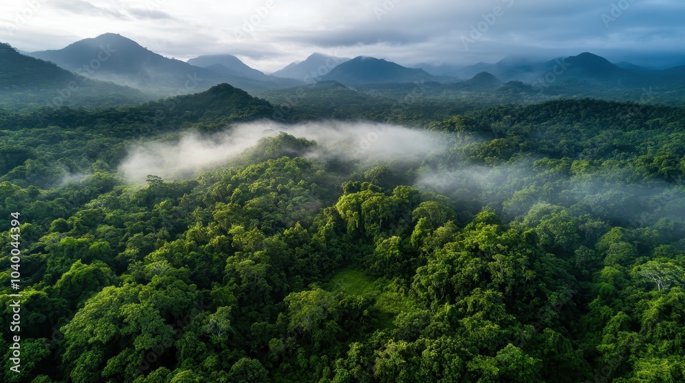 An enchanting view of a misty mountainous forest, where the morning light graces the lush greenery with a soft glow, creating a peaceful atmospheric panorama. An enchanting view of a misty mountainous forest, where the morning light graces the lush greenery with a soft glow, creating a peaceful atmospheric panorama.