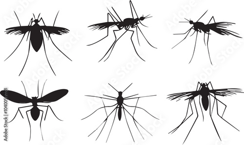 Set mosquito. Hand drawn vector illustration