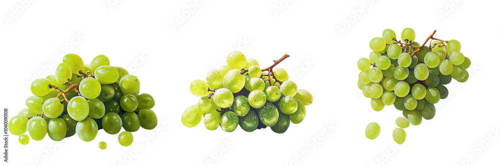 Set of A fresh bunch of green grapes isolated on transparent background