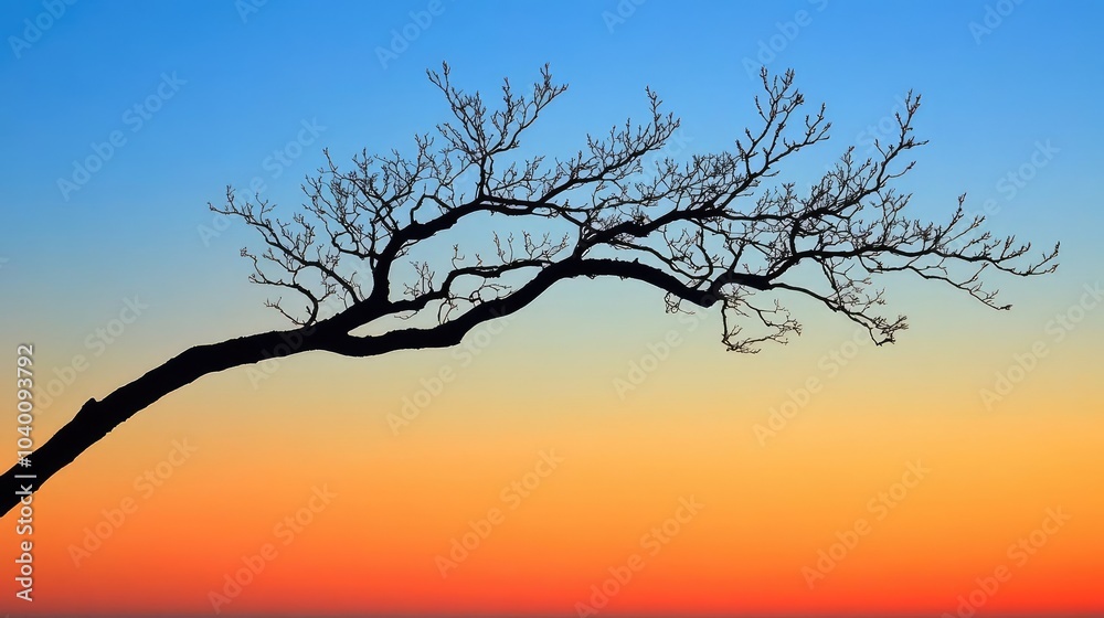 A bare tree branch, silhouetted against a blank sky A bare tree branch, silhouetted against a blank sky