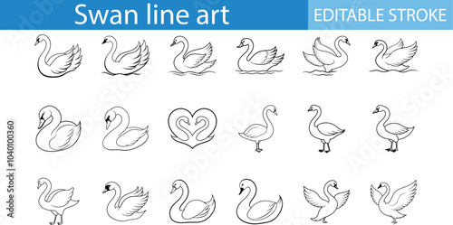 Swan Line Art Illustrations Set Editable Stroke