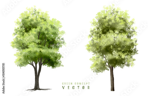  Vector watercolor green  tree or forest side view isolated on white background for landscape and architecture drawing,elements for environment or and garden,Shrub for section