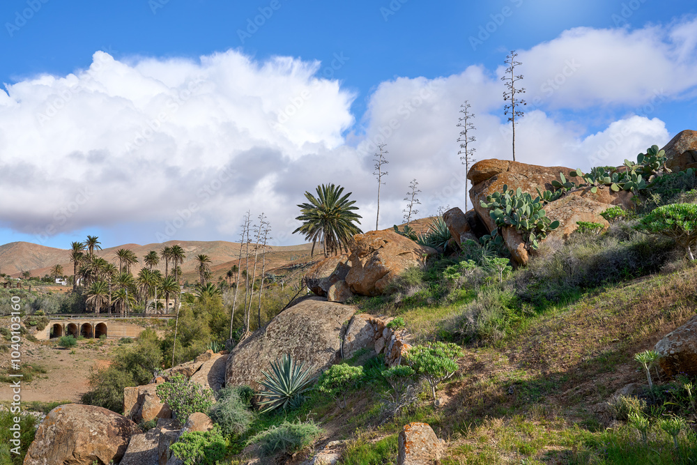 Φωτογραφία Fuerteventura, Vega de Rio Palmas - Landschaft am westlichen Ortsrand mit Viaduk