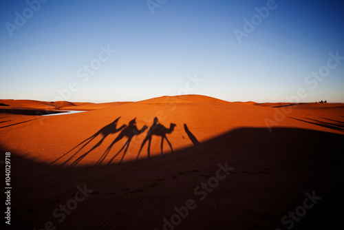 Sombras de un paseo en camello en el desierto del Sahara, Marruecos.