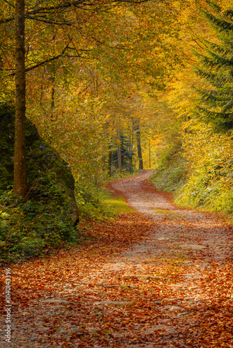 Autumn mountain path with vibrant yellow and orange leaves. Sunlight filters through the trees, creating a serene and inviting atmosphere. Perfect for autumn, nature, hiking, and tranquility themes