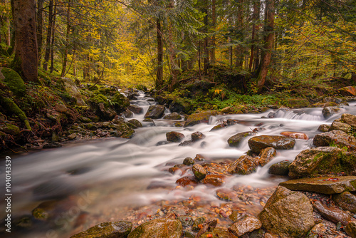 Mountain stream flowing through a vibrant autumn forest, with moss-covered rocks and colorful foliage. Perfect for nature, autumn, and landscape themes, showcasing tranquility and natural beauty