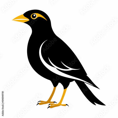 vector silhouette of mynah with white background