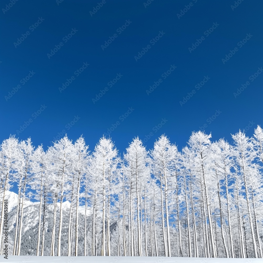 A serene landscape featuring snow-covered trees against a clear blue sky, evoking a tranquil winter ambiance. A serene landscape featuring snow-covered trees against a clear blue sky, evoking a tranquil winter ambiance.