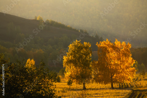 Obraz na płótnie Yellow autumn forest in the mountains at sunset. Beautiful autumn landscape w salonie
