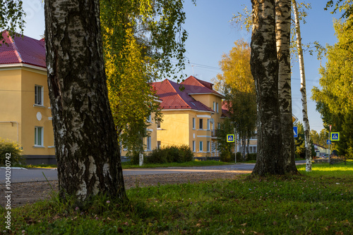 Urban settlement Mga, Leningrad region, Russia. View of the street and beautiful residential buildings. Birch trunks in the foreground. Well-maintained urban settlement. Autumn season, September. photo