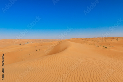 Explore the expansive sandy landscapes of Wahiba Desert in Oman under a clear blue sky at mid afternoon