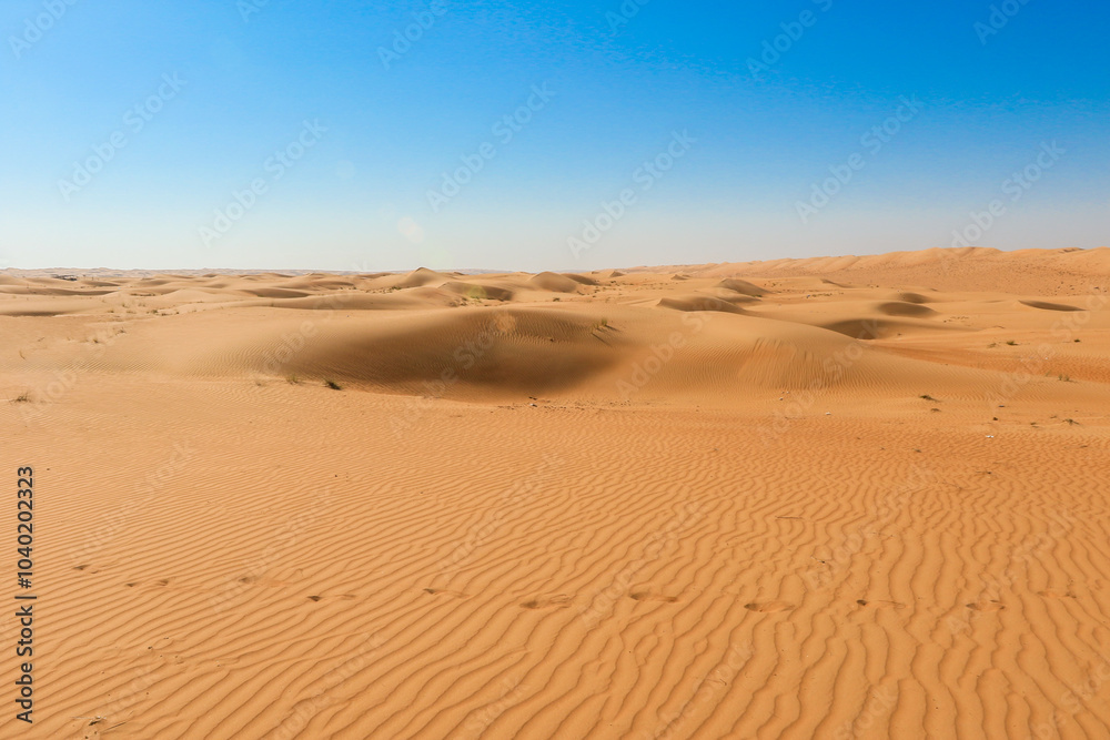 Expansive golden sands of Wahiba Desert in Oman under a clear blue sky during midday Expansive golden sands of Wahiba Desert in Oman under a clear blue sky during midday
