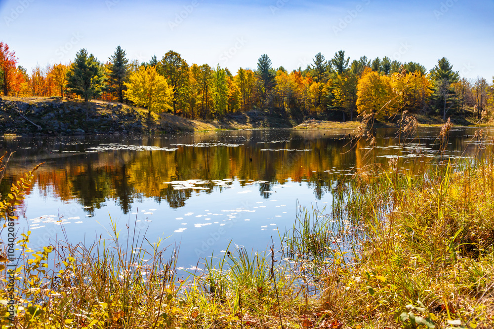 Bright Vibrant Autumn Fall Tree Leaf Colours Reflected in the Lake Water Mirror Surface Surrounded by Marsh Areas, Frontenac Park, Ontario, Canada Bright Vibrant Autumn Fall Tree Leaf Colours Reflected in the Lake Water Mirror Surface Surrounded by Marsh Areas, Frontenac Park, Ontario, Canada