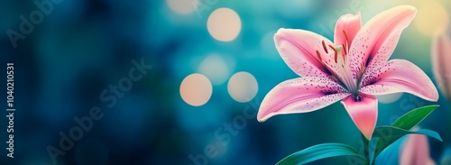 Beautiful lily flower with a bokeh background, copy space for text, banner design, blurred background, pastel colors, delicate, soft light, dreamy atmosphere