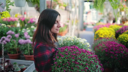 Back view of attractive female gardener, woman walking through the greenhouse with two flower pots of blooming chrysanthemums and placing the pots on a rack