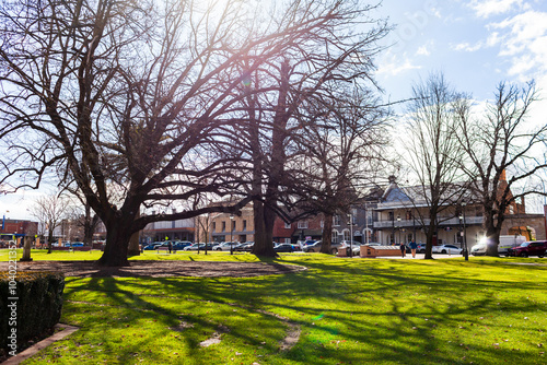 Wintry trees of Belmore Park on sunny winter day with green recreational space