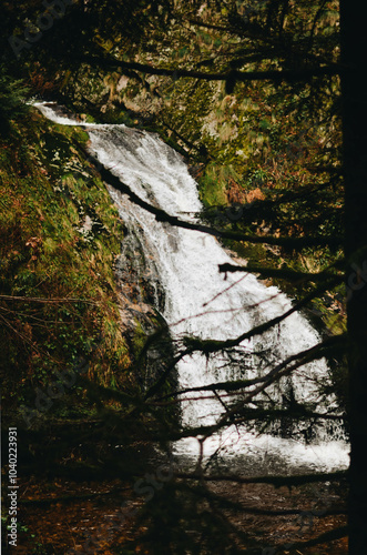 Autumn Waterfall in a Forest