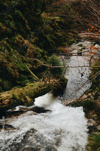 Autumn Waterfall in a Forest with Fallen Log Crossing the Stream