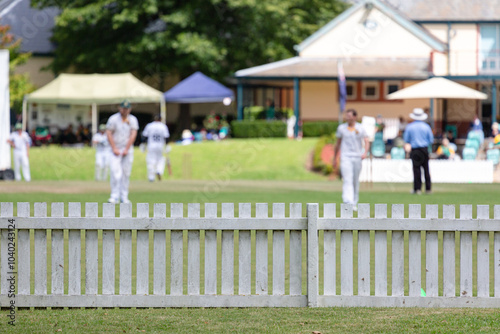 Men playing cricket at Bradman Oval, Bowral photo