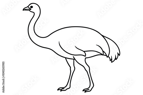 Emu line art vector illustration