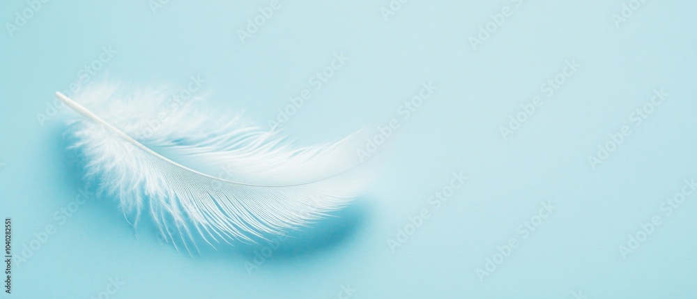 Fototapeta premium A feather is on a blue background
