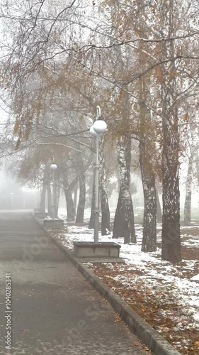 the first snow in the city park in cloudy foggy weather in autumn, trees in the fog on a paved alley with lanterns