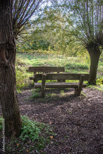 A bench outside for resting on a beautiful autun day with colorful leaves