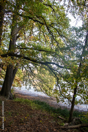 Beautiful autumn day with colorful leaves on trees and on the ground
