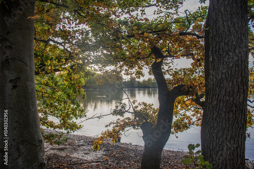 Beautiful autumn day with colorful leaves on trees and on the ground