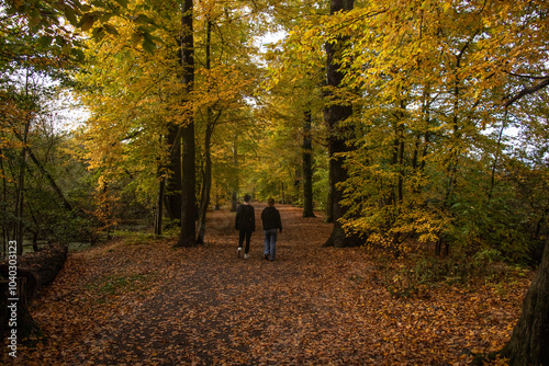 A couple walking down a leave covered path on a beautiful autumn day