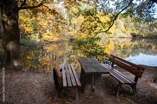 A bench outside for resting on a beautiful autun day with colorful leaves