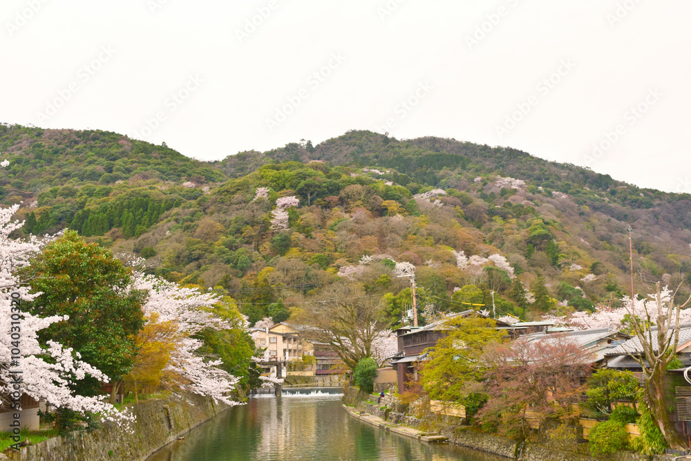 Obraz premium Landscape of Arashiyama in Kyoto, Japan in spring