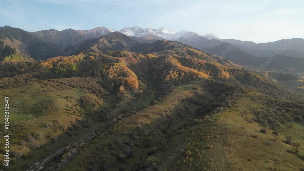 A mountainous area with different vegetation. Yellow leaves of trees in autumn. The view from the drone. A mountainous area with different vegetation. Yellow leaves of trees in autumn. The view from the drone.