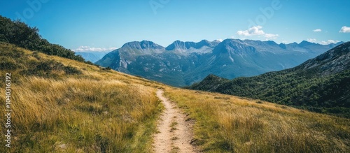 Winding mountain path through grassy field, leading to a breathtaking view of the alpine landscape under a clear blue sky.