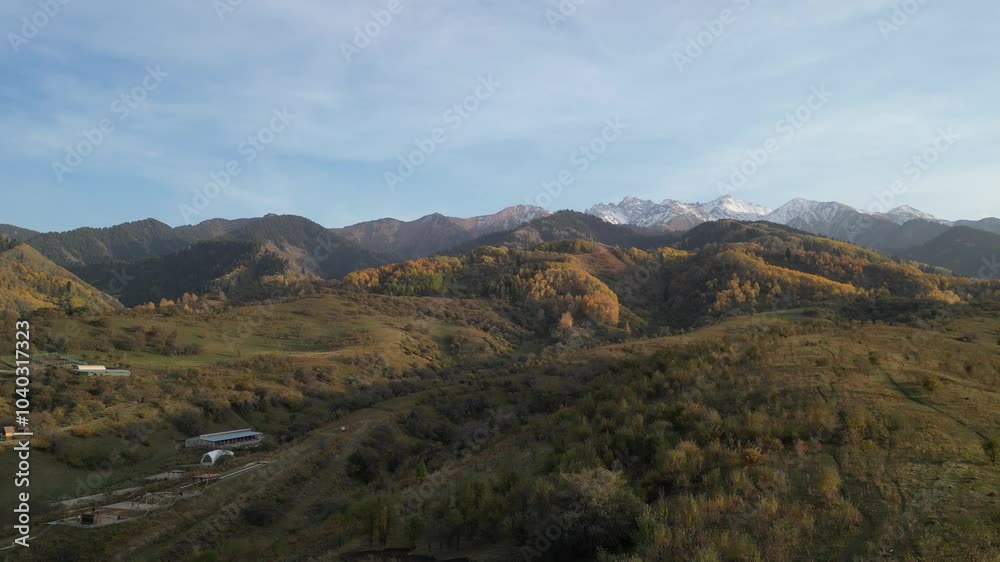 A mountainous area with different vegetation. Yellow leaves of trees in autumn. The view from the drone. A mountainous area with different vegetation. Yellow leaves of trees in autumn. The view from the drone.