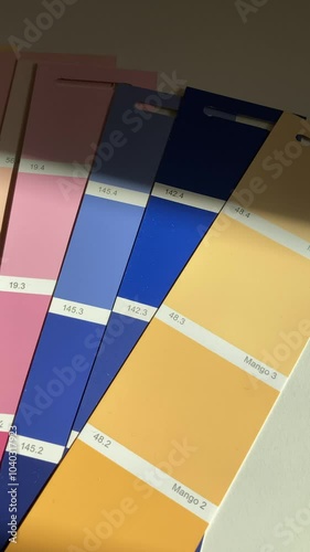 color palettes of paint samples