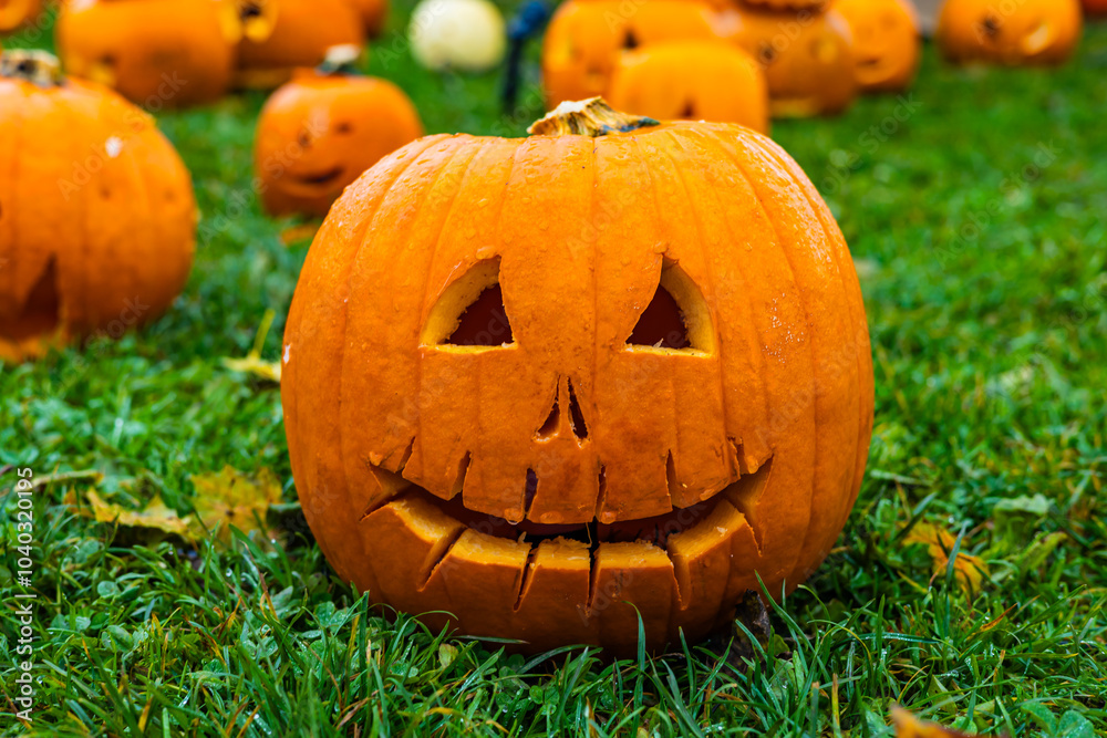 A pile of different colored pumpkins