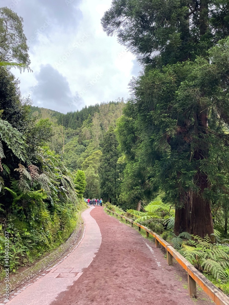 Obraz premium nature clean