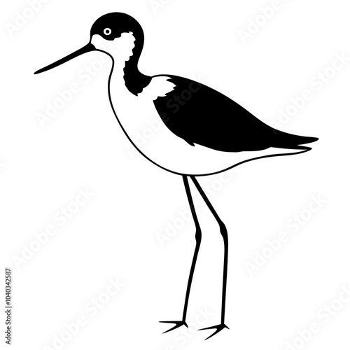  black necked stilt bird