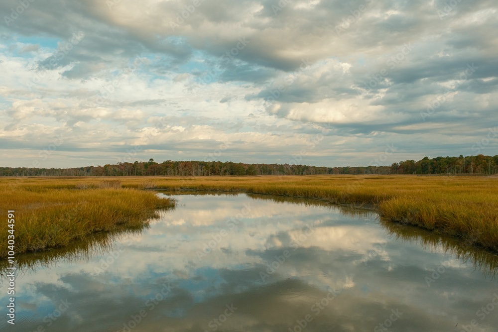 Reflections in a wetland in Heislerville, Maurice River, New Jersey Reflections in a wetland in Heislerville, Maurice River, New Jersey