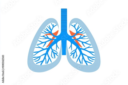 Medical diagram of lung tissue with alveoli, highlighting respiratory function in detail photo