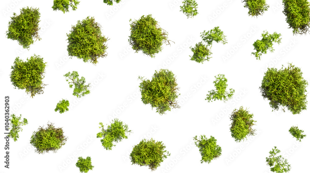 Top view of scattered green plants isolated on transparent background, PNG
